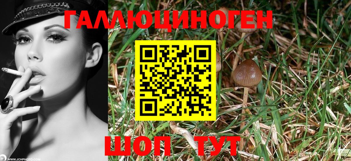 Ивантеевка  Псилоцибиновые грибы мухоморы  Вход с VPN 